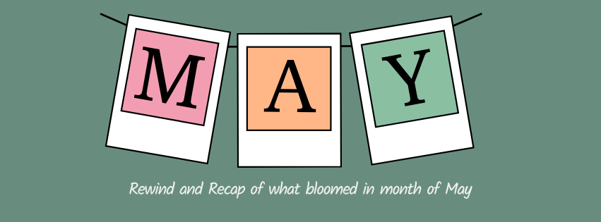 May Reflections: From Digital Declutter to Deep&nbsp;Connections